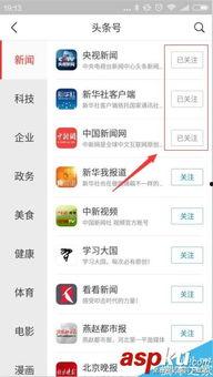 头条怎么添加字幕最快,副标题概述一招搞定